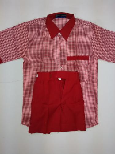 half-pant-half-shirt-14