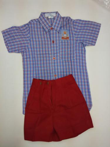 half-pant-half-shirt-7