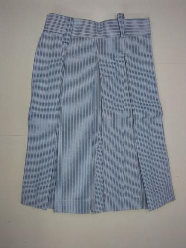 skirt​-8